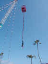 birthdaybungee1.jpg (27116 bytes)